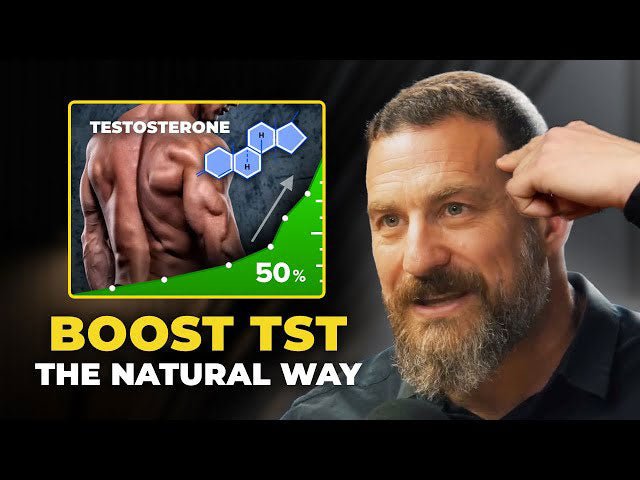 Neuroscientist: This Exercise BOOSTS Testosterone 50% | Andrew Huberman - GreaterT