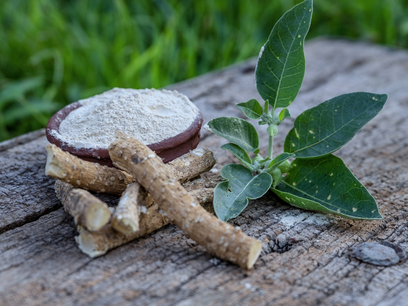 Ashwagandha root macro close-up