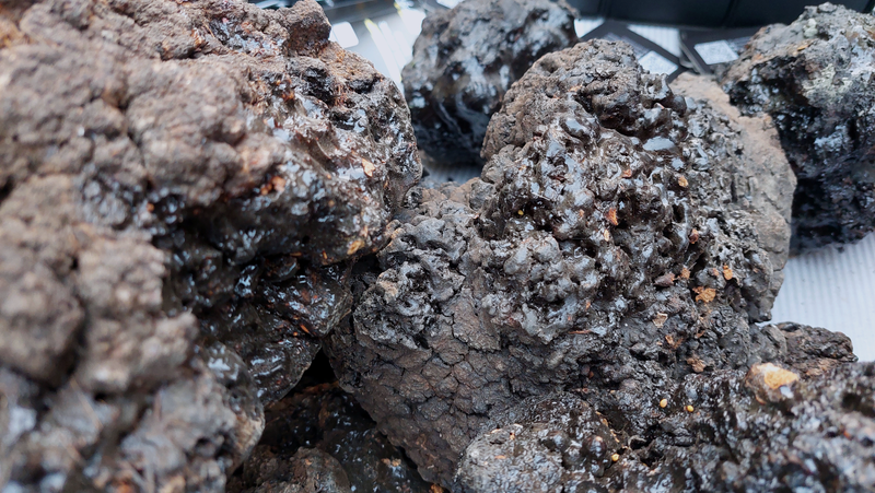Shilajit resin macro close-up