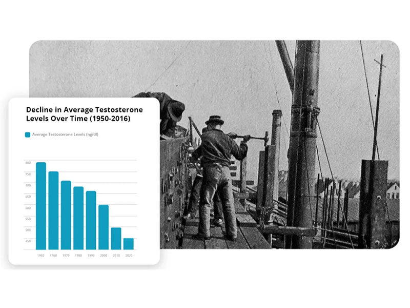 Visual representation showing the decline of testosterone levels over time (chart, 800x600)