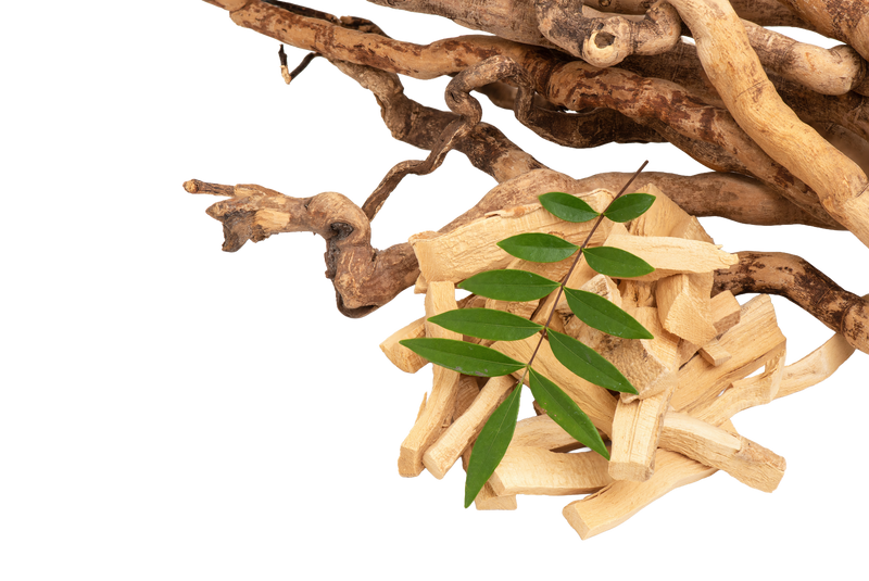 Tongkat Ali root